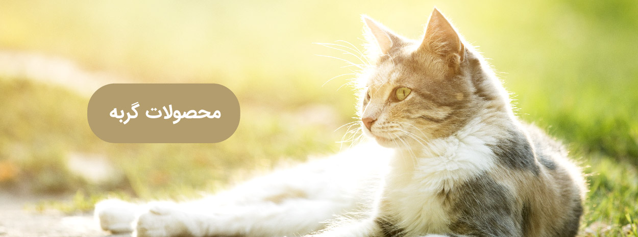 محصولات گربه