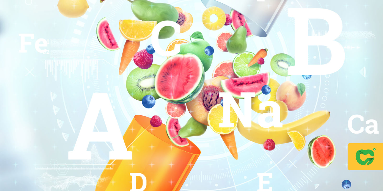 چرا در رژیم غذایی سگ و گربه وجود ویتامین‌های A و D ضروری هستند؟