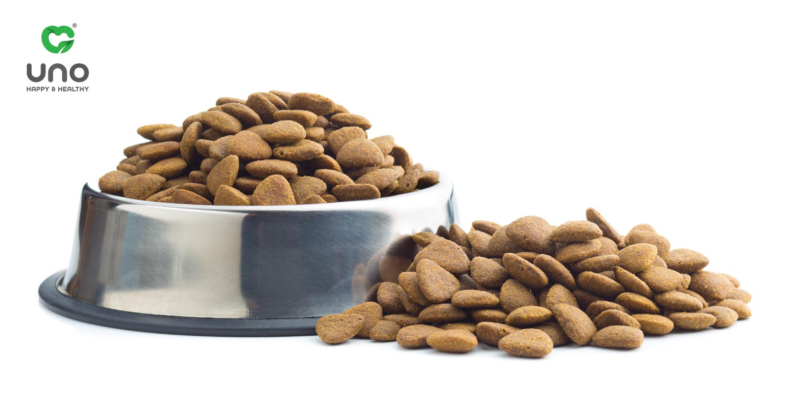 فواید غذای خشک برای سگ و گربه ها چیست؟