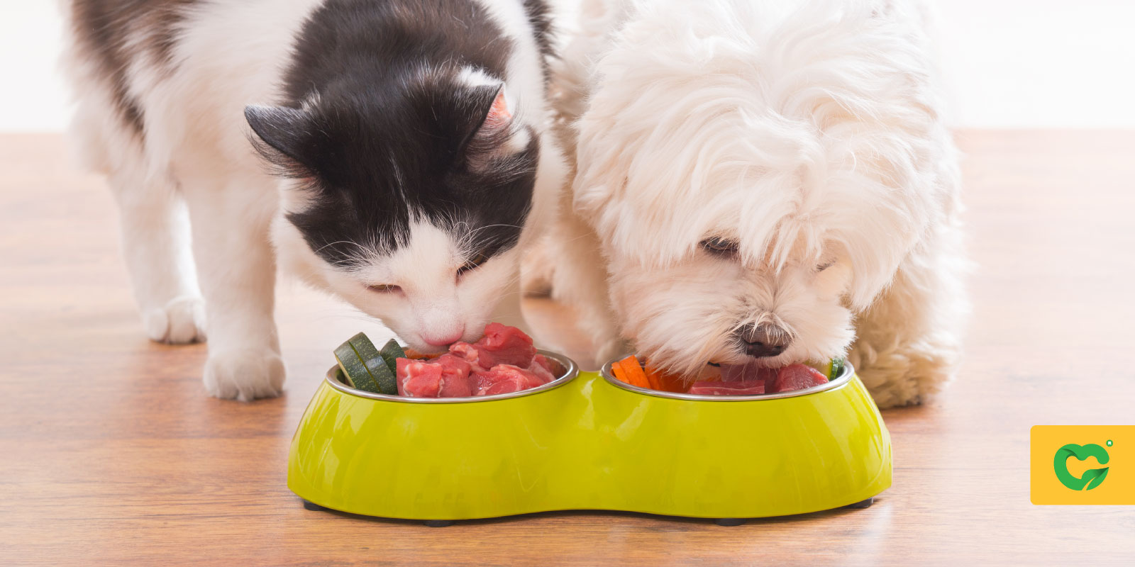 کدام ویتامین­ها و مواد معدنی برای سلامت سگ و گربه ضروری هستند؟