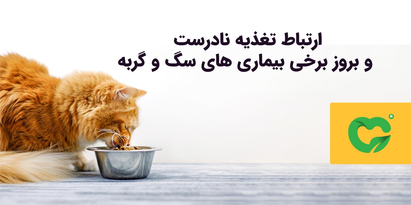 ارتباط تغذیه نادرست و بروز برخی بیماری‌های سگ و گربه