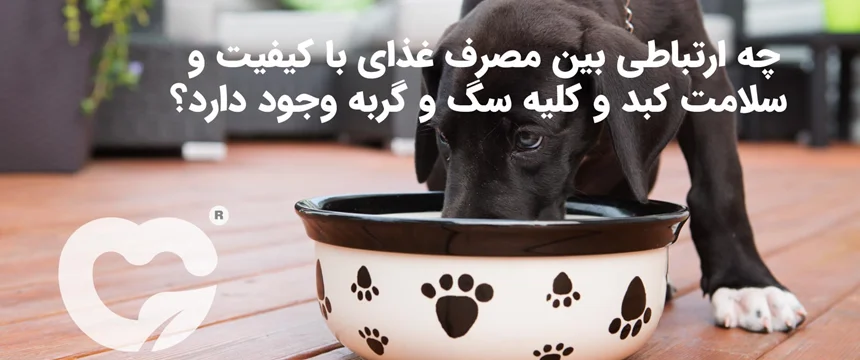 چه ارتباطی بین مصرف غذای با کیفیت و سلامت کبد و کلیه سگ و گربه وجود دارد؟