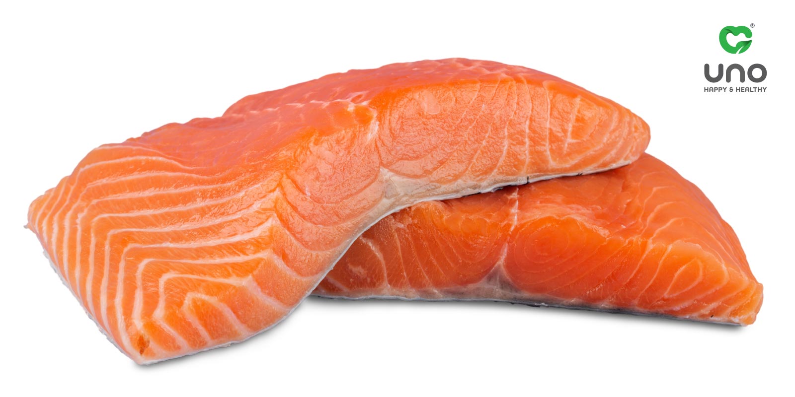 امگا 3 ، امگا 6 و روغن ماهی برای سلامت سگ ها و گربه ها چقدر مهم هستند؟