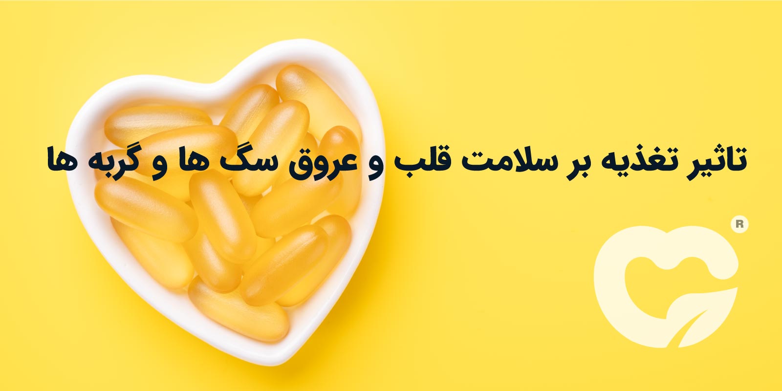 تأثیر تغذیه بر سلامت قلب و عروق سگ‌ها و گربه‌ها