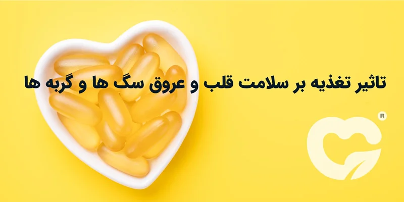 تأثیر تغذیه بر سلامت قلب و عروق سگها و گربهها