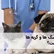 آیا سرطان در سگها و گربهها قابل کنترل است؟