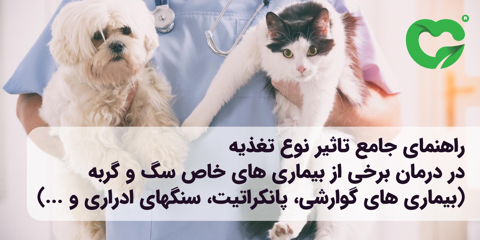 راهنمای جامع تأثیر نوع تغذیه در درمان برخی از بیماری‌های خاص در سگ و گربه (بیماری های گوارشی، پانکراتیت، سنگ های ادراری و غیره)