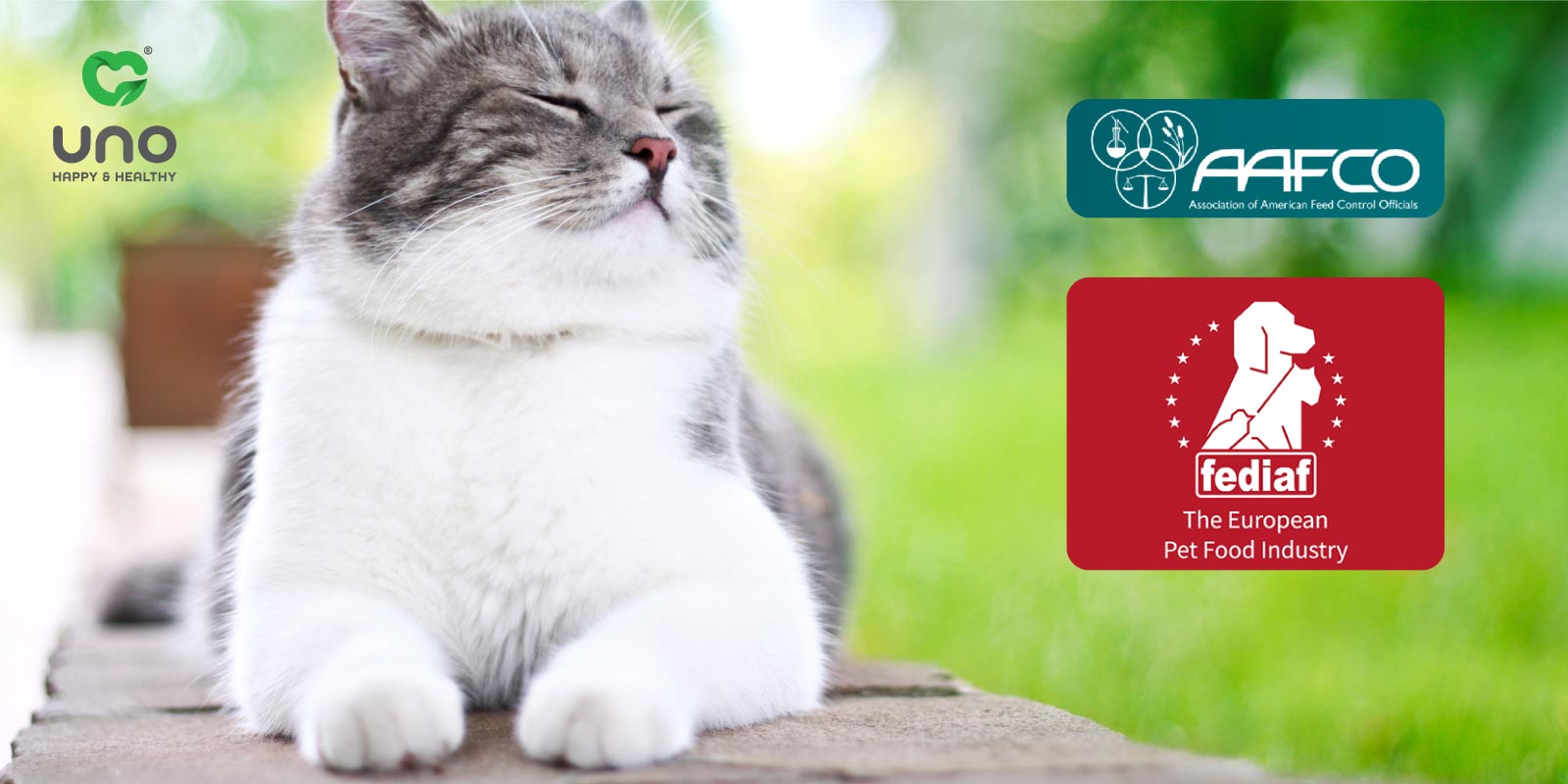 چه سازمان‌هایی استانداردهای غذایی سگ و گربه را تعیین می‌کنند؟