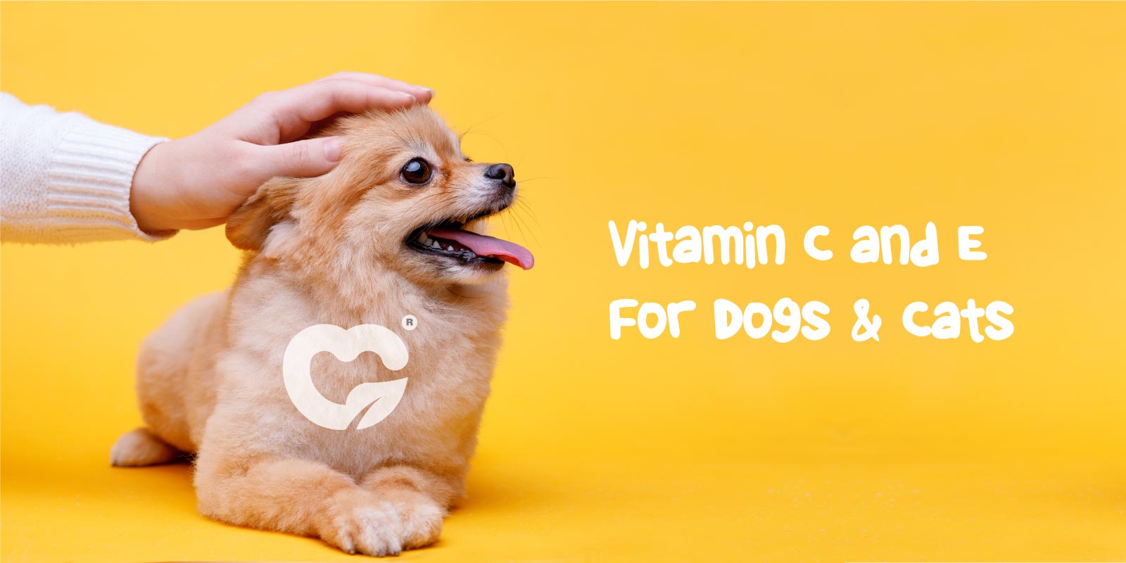 ضرورت استفاده از ویتامین‌های E و C برای سگ و گربه چیست؟